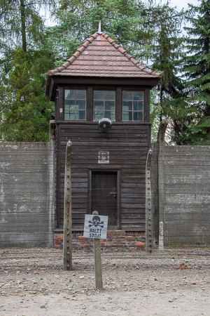 Den, kdy byl osvobozen koncentrační tábor  Auschwitz-Birkenau (Osvětim-Březinka)